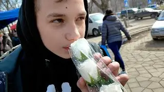 С 8 Марта Дорогие Женщины от Прогульщиков в 2023