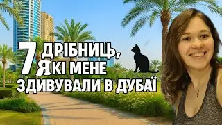 У ДУБАЇ ТАК СПЕКОТНО,ЩО НАВІТЬ КОТИ ВИХОДЯТЬ ТІЛЬКИ УВЕЧЕРІ