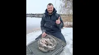 Острожный подлещик ранней весной