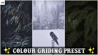 Vn Editor Cinematic Preset || Vn App Preset || Vn App Lut || Cinematic Lut For Vn || Vn App Preset