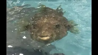The National Aquarium's Animal Care and Rescue Center