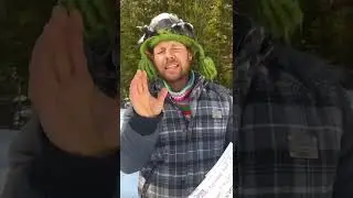 Ответы на вопросы.О вегетарианском питании