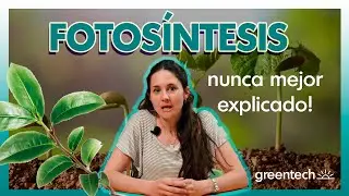La fotosíntesis nunca mejor explicada | Las plantas son organismos autótrofos?