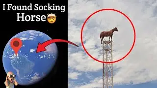 I Found Socking Horse Sculpture In Real Life On Google Earth And Google Maps 🤯!