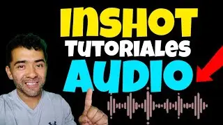 Important Audio for Your Videos - How to Use 