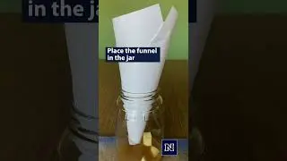 Non Toxic Fruit Fly Trap #pests #fruitfly  #solutionspestandlawn #gardening