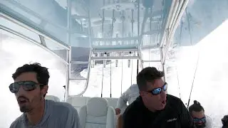 A Battle Tank Vs 10 Footers ! SeaHunter 46 Cts !
