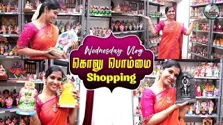 Navarathri Golu Dolls Rainbow Art Gallery / Wednesday Vlog / Lakshya Vlogs / Lakshya Junction.