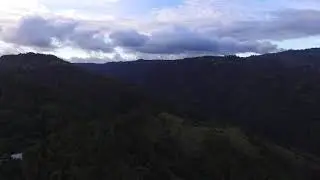 Ponce y su campo