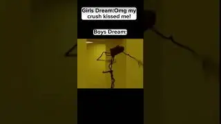 Girls dream vs Boys dream