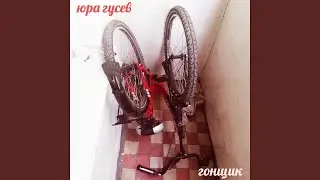 Гонщик