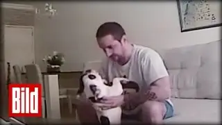 Tierquälerei: Brasilianer zerrt Bulldogge brutal durch Wohnung