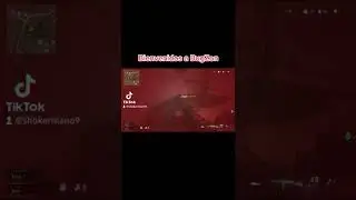 Bienvenidos a BugZone 