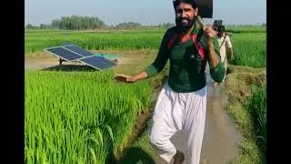 Tubewell swimming pool village rice block