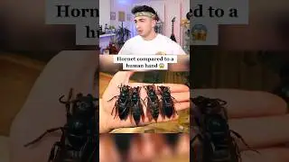 DÜŞÜNDÜĞÜNÜZDEN DAHA BÜYÜK ŞEYLER! 🤯