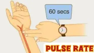 Pulse Rate | #viralvideo #doctor
