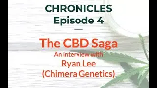CBD Saga: Interview with Ryan Lee | CHRONICLES 04