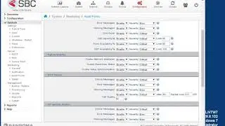 Video de acercamiento a la plataforma de  SBC SANGOMA (sesion border controller)
