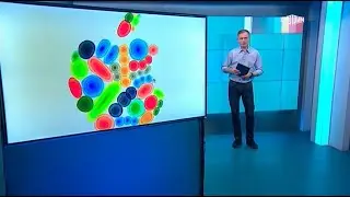 Вести.net: Новый iPad от Apple – что будет на презентации? (07.05.2024)
