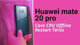 Huawei Mate 20 Pro Restarts and Slows Down | CPU Clock Speed ​​OFFLINE 4 Cores