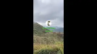 Watch this before you go to Doi Pha Phueng in Nan Province Thailand