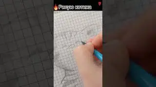 рисую котика 🐱#котик #шортс #shorts