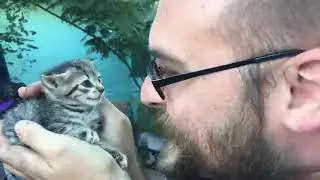 Cute Hissing Kitten