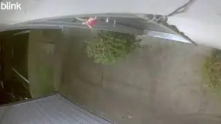 #paranormal