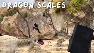 Sweetie Pie V0 (Dragon Scales) | Joshua Tree Beta