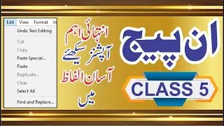 paste special in inpage  , duplicate option , finde and replace , inpage course class 5