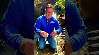 Ez Flow line removal #diy
