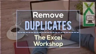 Remove Duplicates in Excel in Hindi -The Excel Workshop