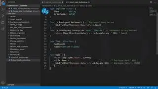 Golang Deep Dive P1 - L34 - Write Interface with Methods