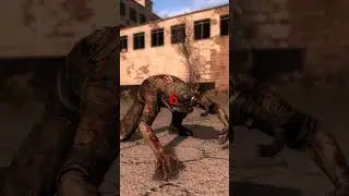S.T.A.L.K.E.R.ТОП 10 МУТАНТОВ 