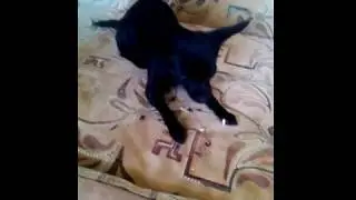 Бабушки на лавочке 