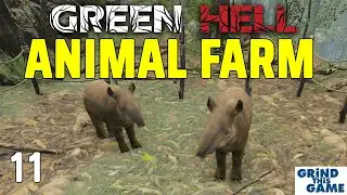 Animal Husbandry & Pottery - Green Hell #11