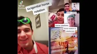 tangential horse rotation
