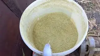 Переработка стебля махорки !