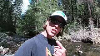 Gold Prospecting the Cosumnes River
