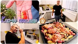 Забыли про...🙈/Катин доклад😂/Вкусный ужин😋.
