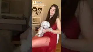 ABG mulus goyang bohay