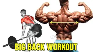 6 Most Effective Exercises for Bigger 3D Back