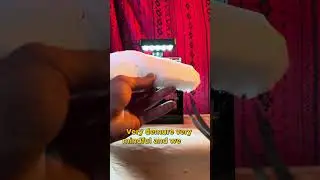 Building a micro aquarium with your girlfriend | Partner hobbies