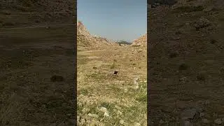 Shot at from 100m by a Slinger