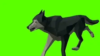 copyright free wolf green screen video - YouTube | Wolf running, Greenscreen, Wolf