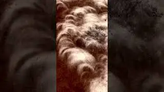 Look For This Phenomena During the Eclipse