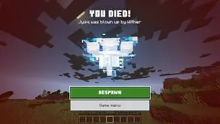 Fighting The Bedrock Wither (as a java player)