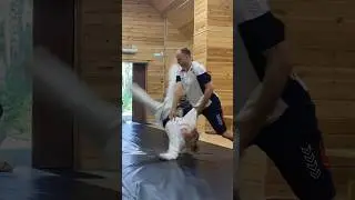 Тренировка Дзюи вадза #айкидо