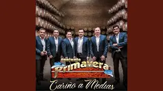 Cariño a Medias