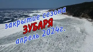 зубарь апрель 2024